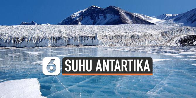 VIDEO: Suhu Antartika Capai Rekor Terpanas