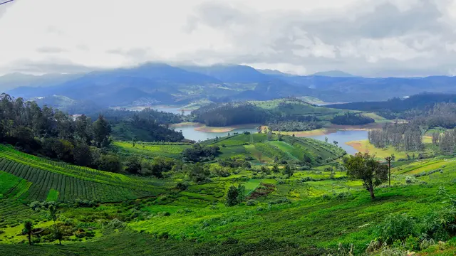 Ooty