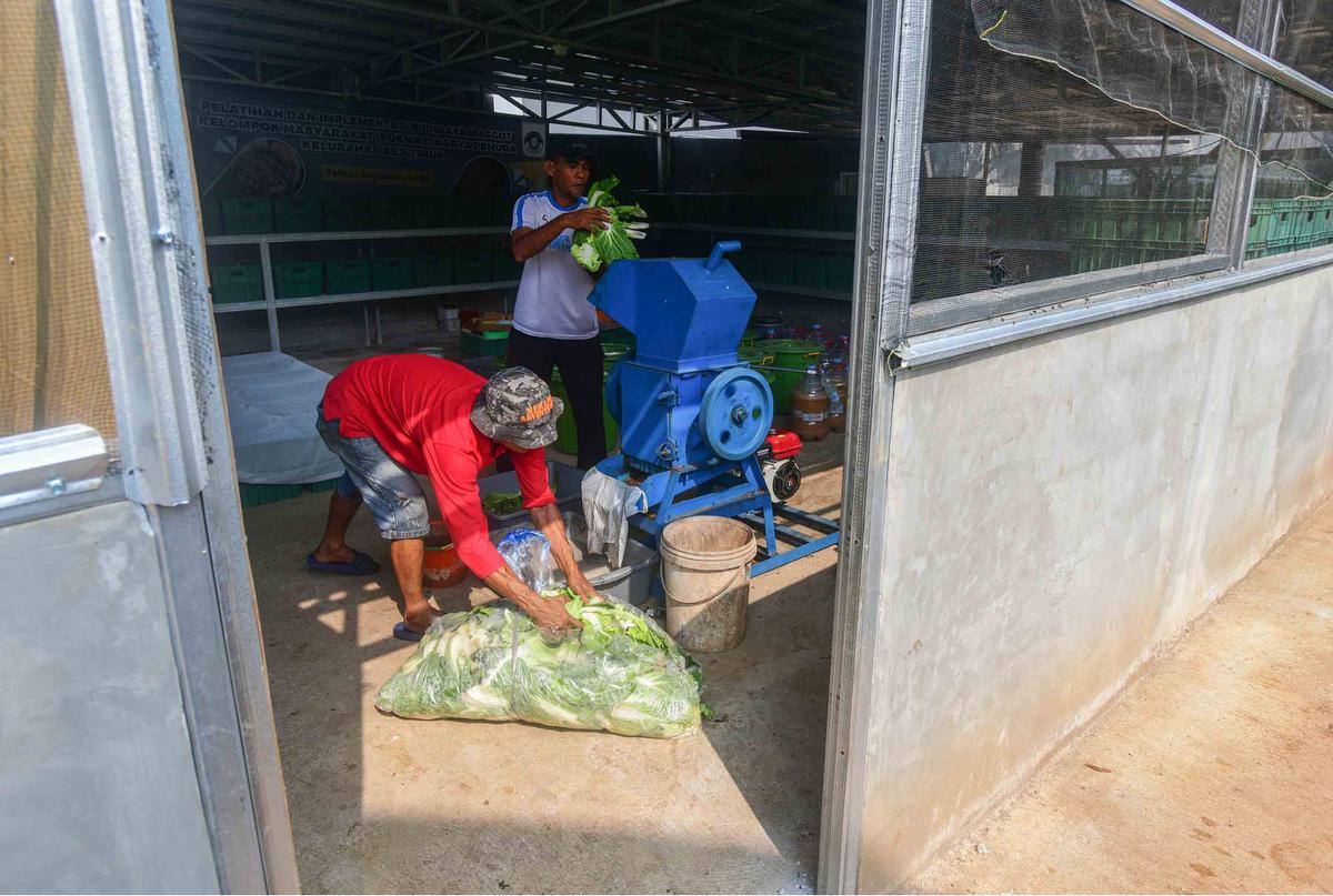 FOTO: Budidaya Maggot Bantu Warga Terdampak PHK di Depok