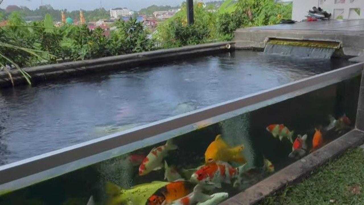 Ilustrasi Taman di Balkon dengan Aquarium (©Pinterest)