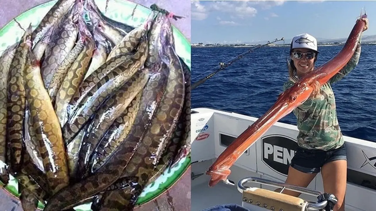 6 Potret Tangkapan Hasil Mancing Ini Bikin Mata Melotot