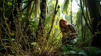 Ciri-Ciri Paku Kawat: Mengenal Karakteristik Unik Tumbuhan Primitif
