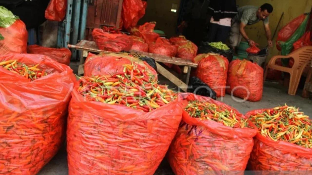 Intip Harga Cabai, Daging Sapi dan Beras Jelang Bulan Ramadan