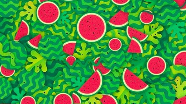 Tes Kejelian Mata, Coba Temukan Benda di Gambar Ini dalam 45 Detik