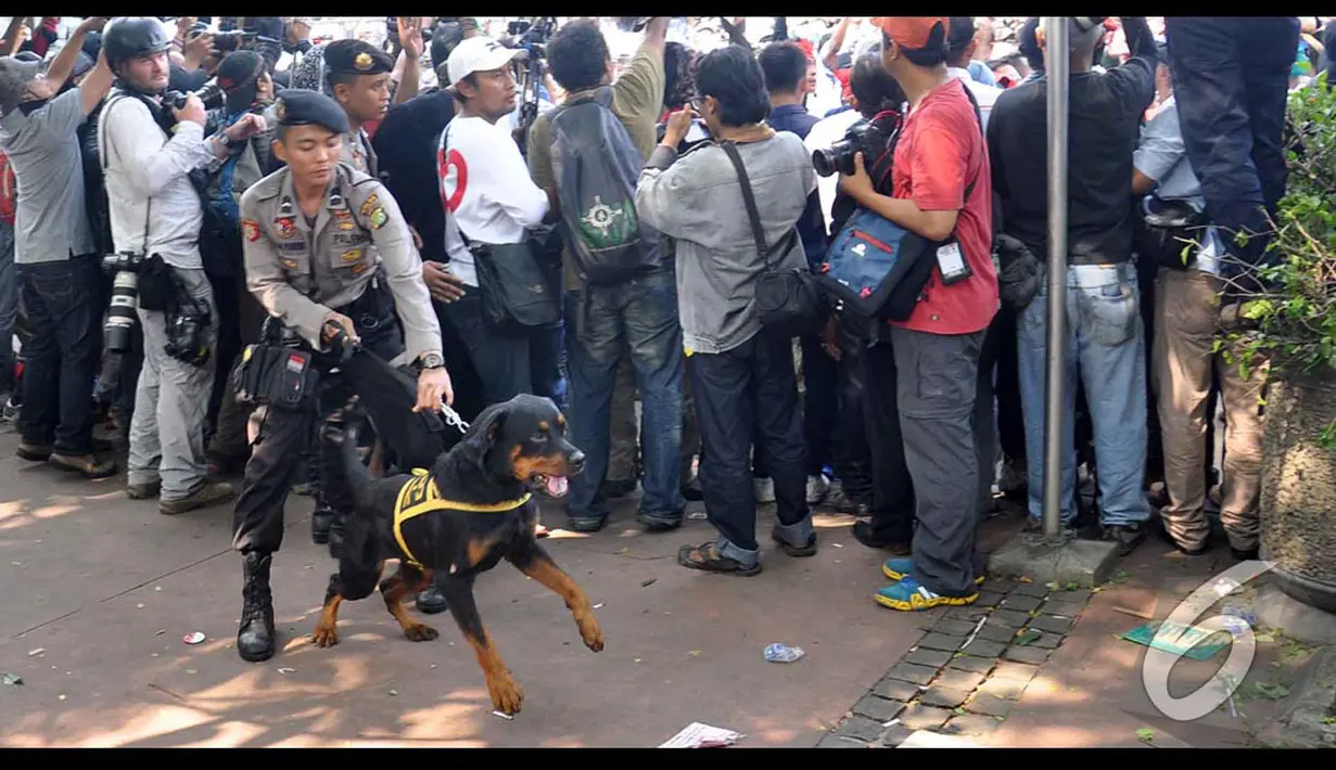 Tampangnya yang sangar dan gonggongan yang besar membuat anjing K-9 ini mampu membuat ciut para pendemo, Jakarta, Kamis (21/8/2014) (Liputan6.com/Miftahul Hayat)