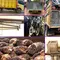 Kepergok Angkut 5,6 Ton Sawit Curian, Enam Petani Dibekuk Polisi