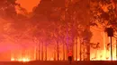 Seorang petugas pemadam kebakaran berjalan melewati pohon-pohon yang terbakar saat berusaha memadamkan api akibat kebakaran hutan di sekitar kota Nowra, negara bagian New South Wales, Australia, Selasa (31/12/2019). (AFP/Saeed Khan)