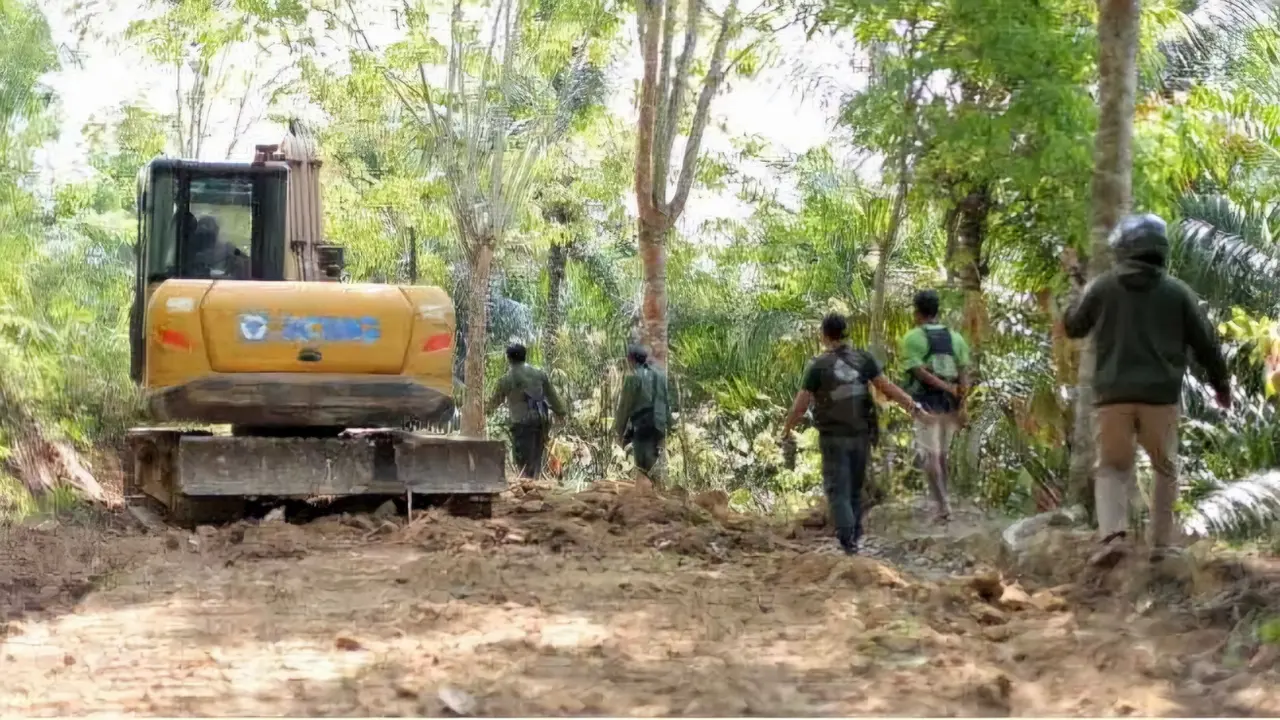 Pembukaan jalan secara ilegal menggunakan alat berat di kawasan Taman Nasional Bukit Barisan Selatan (TNBBS)