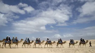 Wisatawan menikmati perjalanan manaiki unta dipandu pawangnya di sepanjang bukit pasir di Stockton Beach, Australia, Jumat (6/11/2020). Stockton Beach adalah rumah bagi bukit pasir bergerak terbesar di Belahan Bumi Selatan dengan beberapa di antaranya Tinggi 30 meter (98 kaki). (AP Photo/Mark Baker)