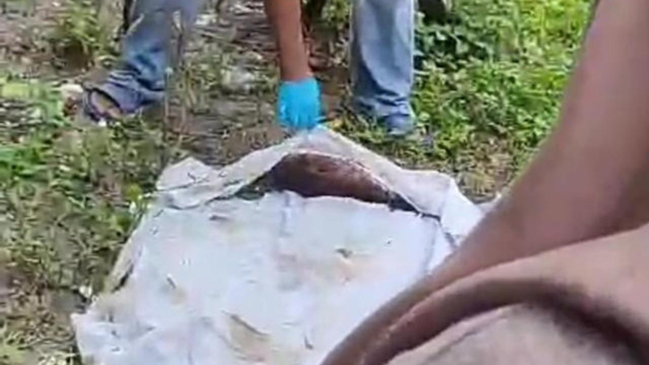 Bukan Mayat Bayi, Bungkusan Kain Kafan di Atas Kuburan Bikin Geger Warga Ternyata Berisi Ayam Mati