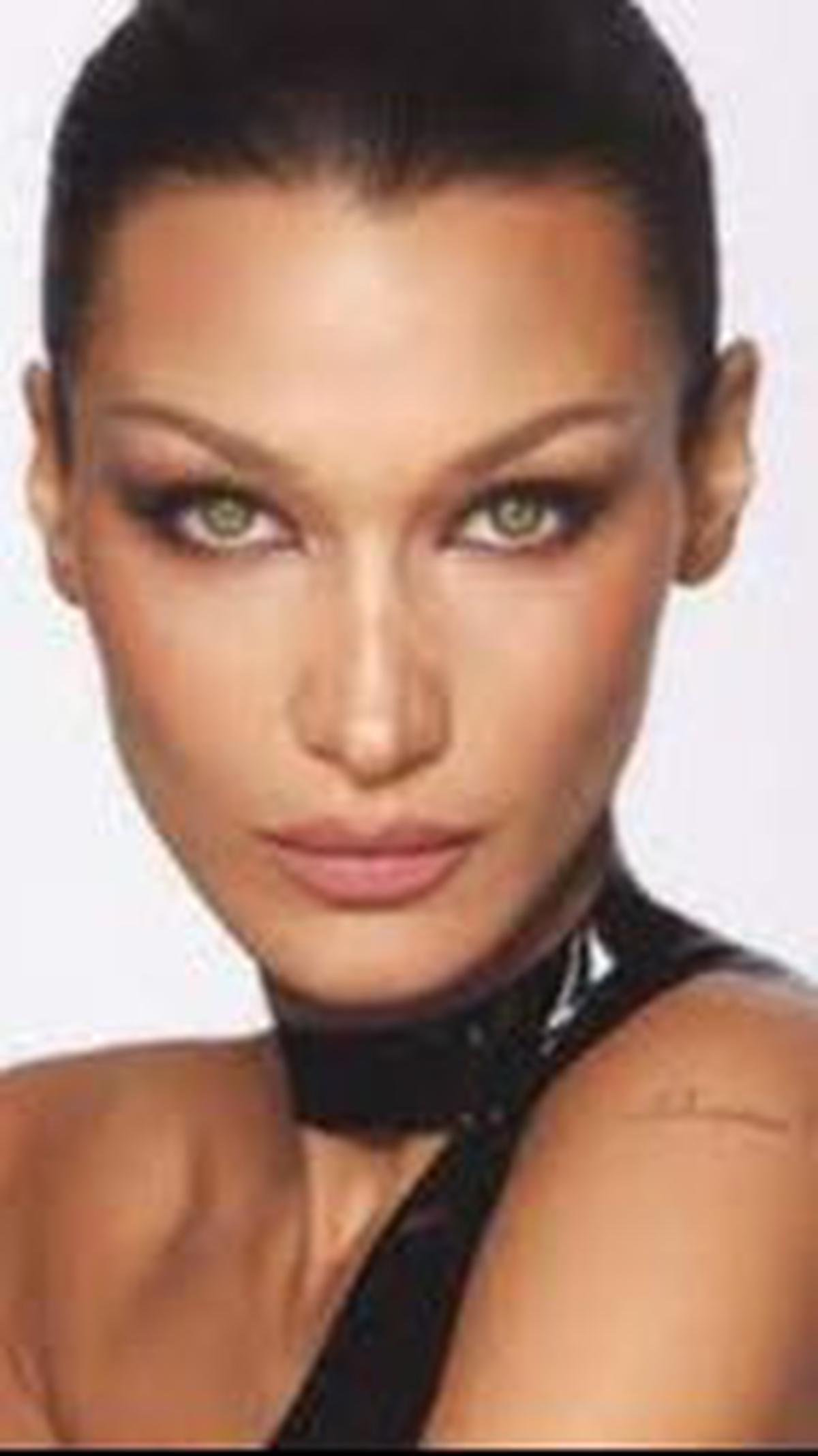 Profil dan Biodata Bella Hadid