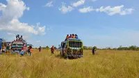 Tersesat di Lanskap Savana Raksasa Sumba Barat