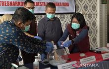 Polresta Palangka Raya Gagalkan Peredaran Ratusan Gram Narkotika, Amankan 13 Tersangka