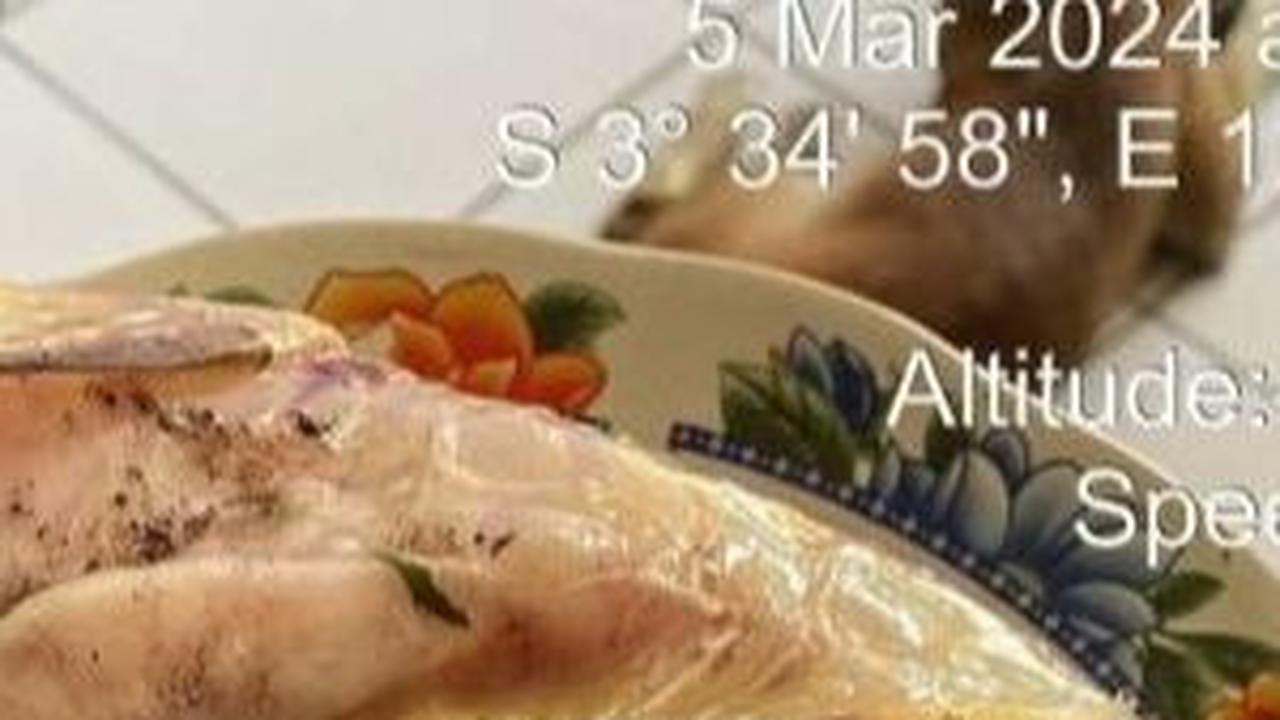 Gejala Keracunan Telur Ikan Buntal, Ketahui Cara Mengatasi dan Kandungan Berbahayanya