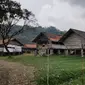 Suasana kampung kambing Desa Wisata Cibuntu Kabupaten Kuningan Jawa Barat bergaya rumah panggung memberikan kesan unik dan nyaman bagi warga peternak. Foto (Liputan6.com / Panji Prayitno)