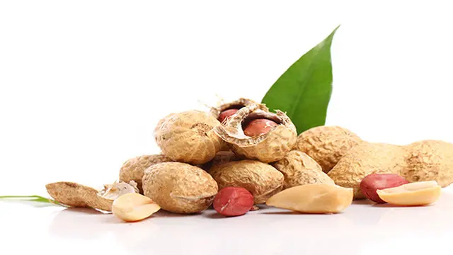 Kacang
