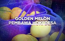 VIDEO: Desa Agrowisata, Ekonomi Mandiri Warga Lombok