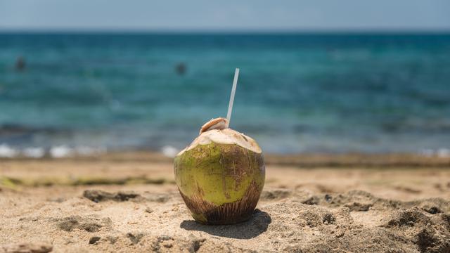 Ilustrasi air kelapa
