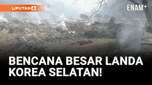 VIDEO: Kebakaran Hutan Terburuk di Korea Selatan! 18 Tewas, Ribuan Mengungsi