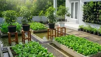 8 Ide Pekarangan Produktif untuk Rumah yang Sering Kebanjiran, Tetap Hijau dan Estetis
