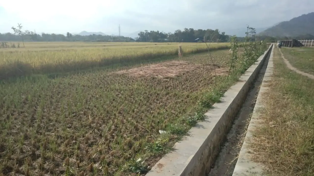 Rehabilitasi Jaringan Irigasi Tersier (RJIT) di Trenggalek.