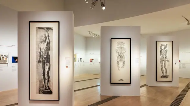 Edukasi dari Berbagai Perspektif