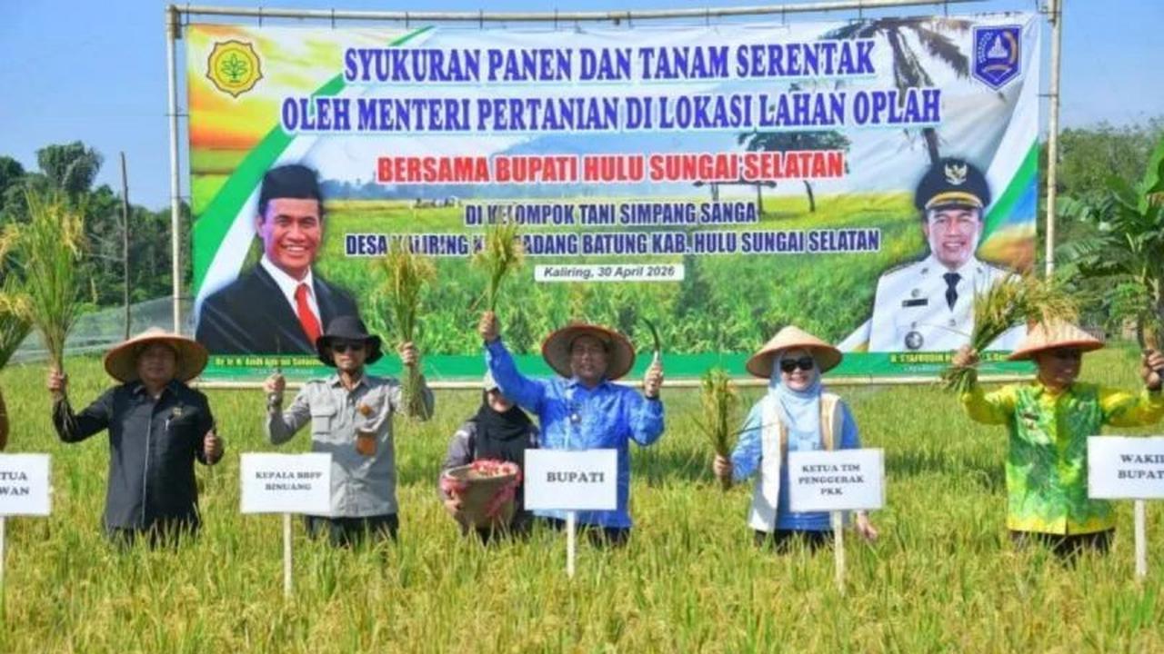 HSS Gelar Syukuran Panen dan Tanam Padi Serentak 2026, Perkuat Kemandirian Pangan Daerah