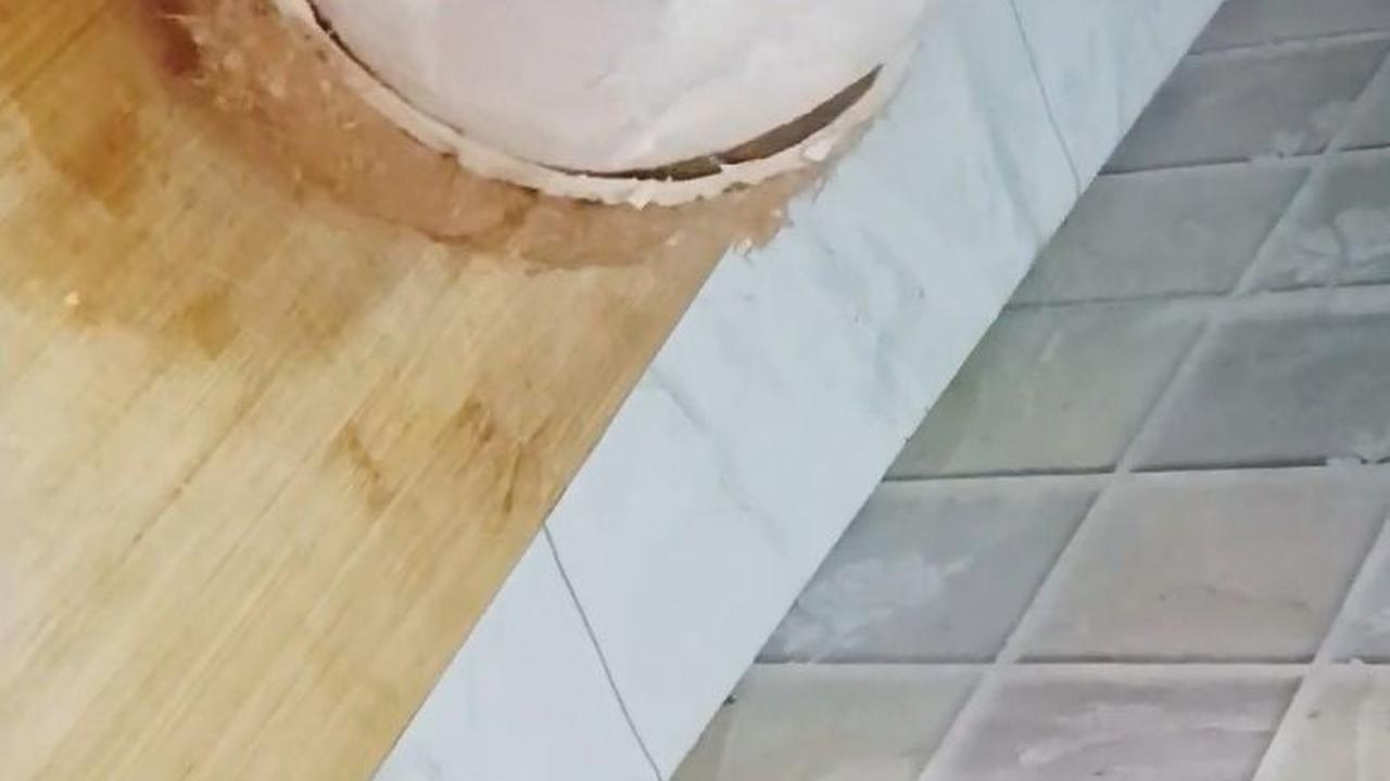 Lepaskan Daging Kelapa