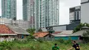 Warga membeli langsung di kebun Timun Suri di Jakarta, Selasa (30/5). Petani memanfaatkan lahan kosong di belakang pusat perbelanjaan untuk menanam timun suri tersebut.  (Liputan6.com/Gempur M Surya)