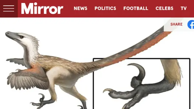 Ilustrasi seorang seniman dari Velociraptor mongoliensis