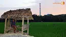liputan6