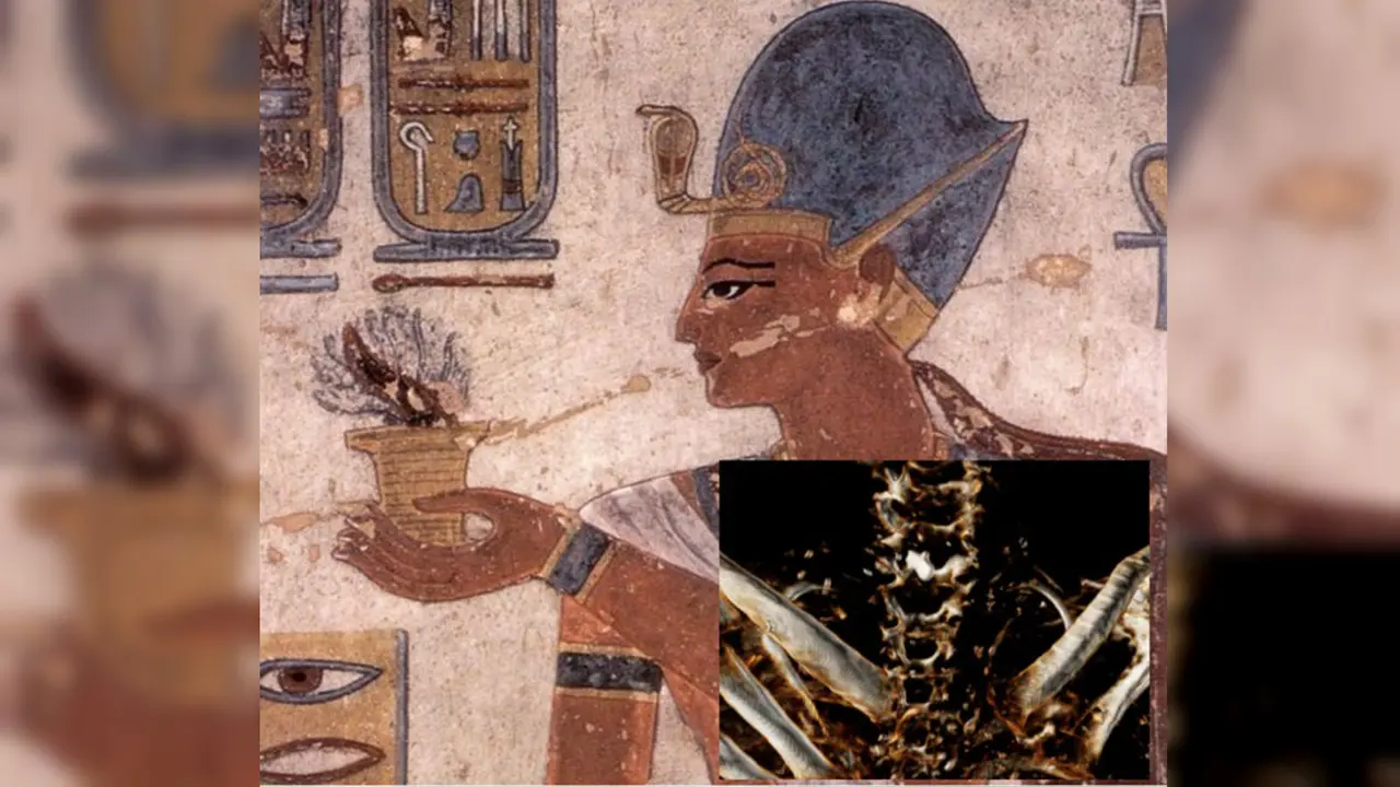 Ramsses III - 5