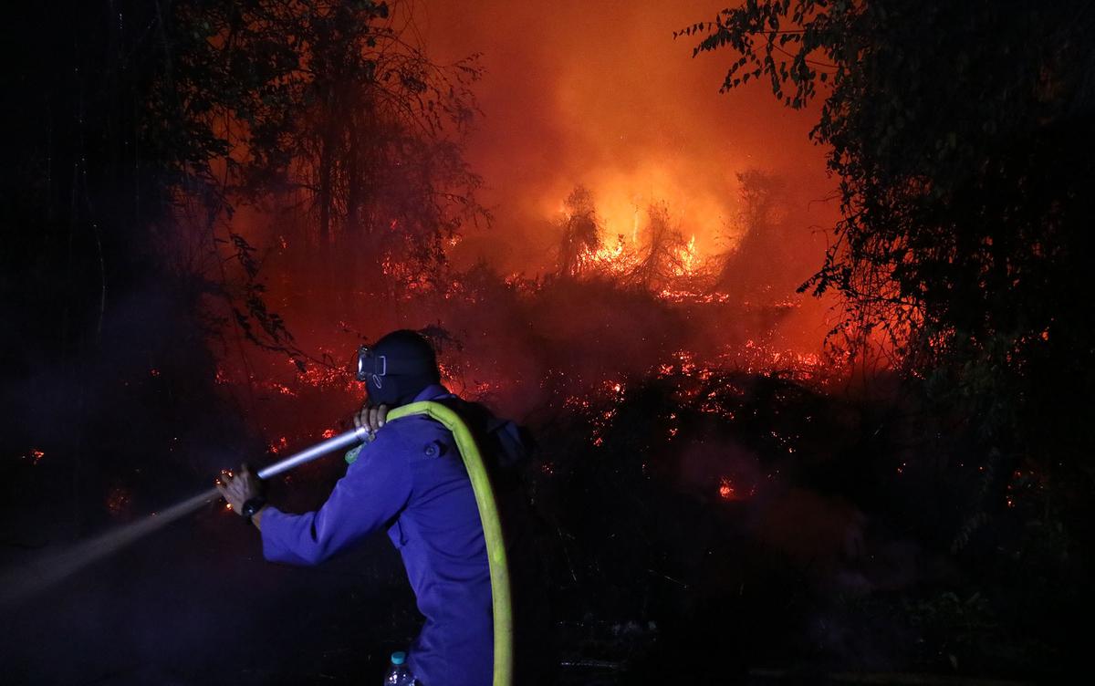 Sejumlah Daerah Dilanda Kebakaran Lahan Gambut