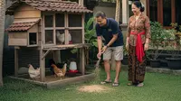 Cara Ternak Ayam Kampung Skala Kecil yang Cepat Balik Modal dengan Modal Rp 4 Jutaan