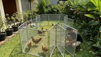 10 Model Kandang Ayam 'Knock Down', Bisa Bongkar Pasang