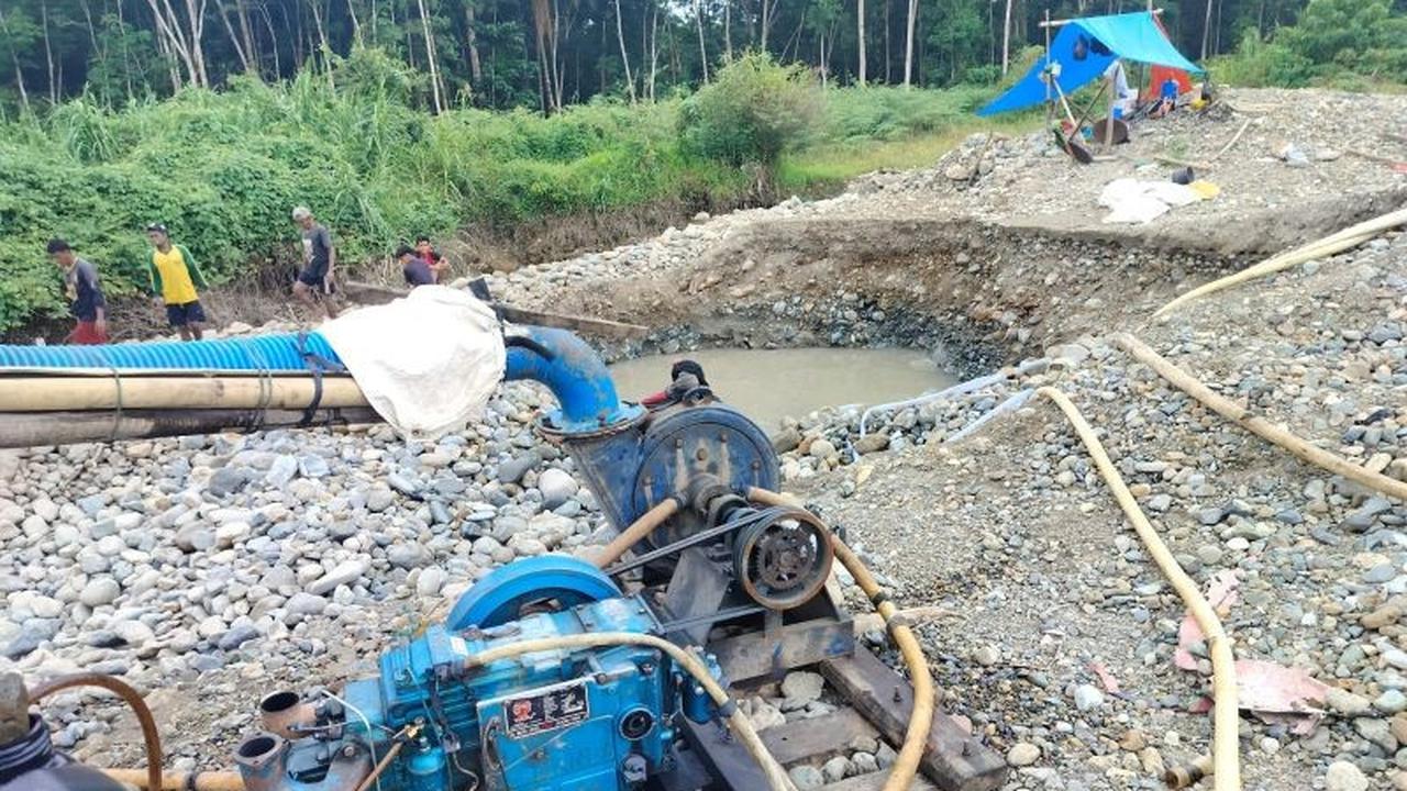 Fakta! 15 Pelaku Penambangan Emas Ilegal di Pasaman Ditangkap, Termasuk Pemodal
