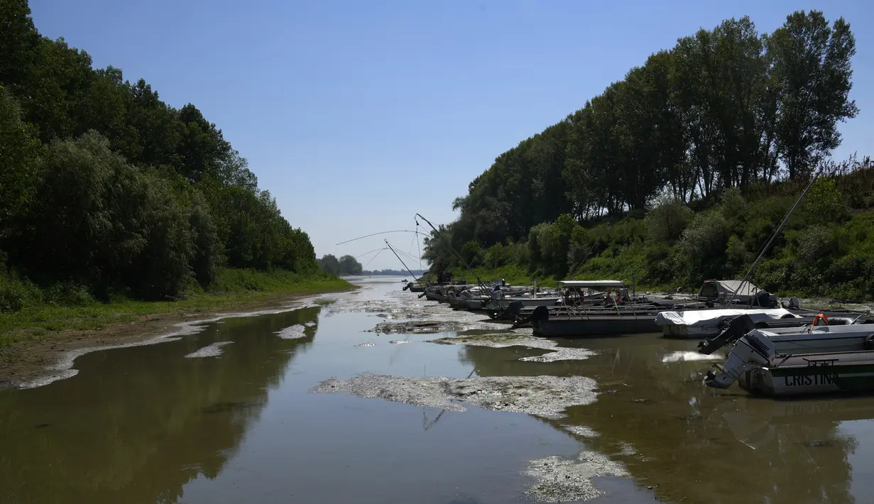 Kapal berlabuh di pelabuhan wisata di sepanjang Sungai Po, Torricella, Italia, 14 Juli 2022. Konfederasi produsen pertanian Italia, Copagri, memperkirakan kehilangan 30-40 persen dari panen musiman. (AP Photo/Antonio Calanni)