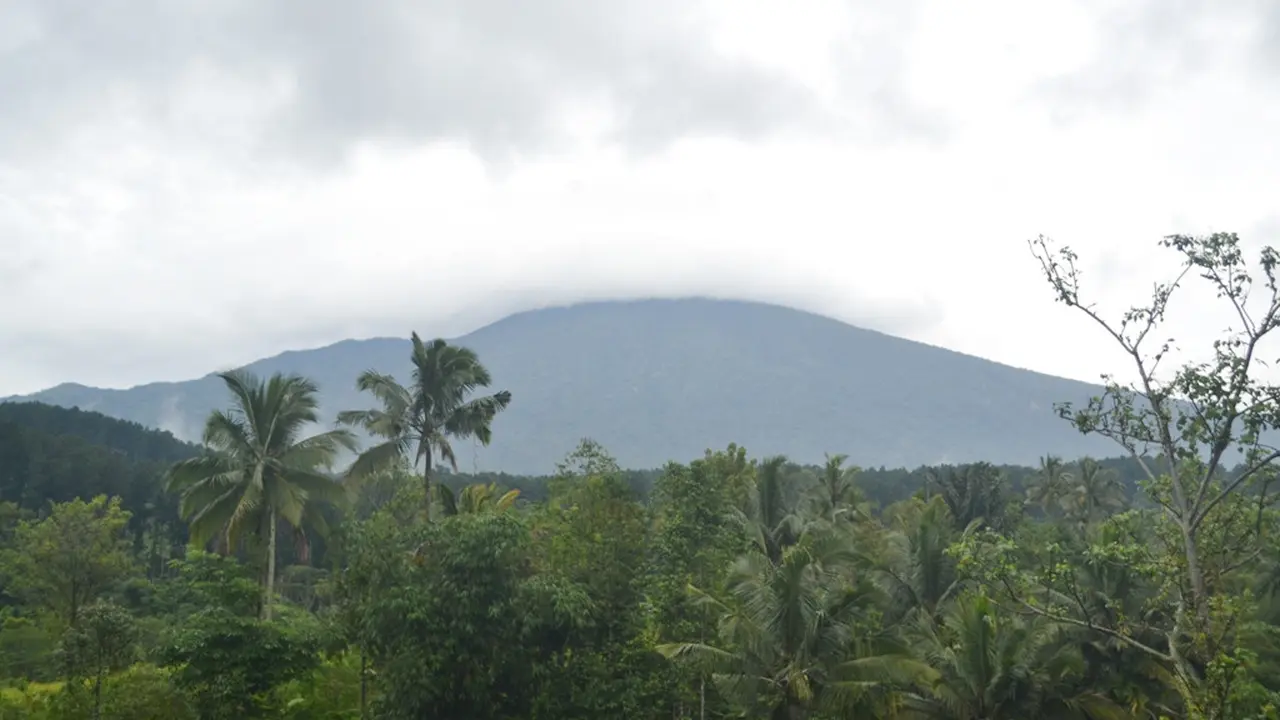 Kini lereng Gunung Slamet tak lepas dari ancaman krisis air bersih akibat beralihnya tanaman keras. (Foto: Liputan6.com/Muhamad Ridlo)