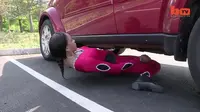 Lewati Kolong Mobil, Wanita Seksi Ini Pecahkan Lagi Rekor Menari
