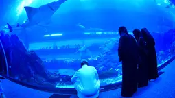 Wisatawan mengunjungi akuarium Dubai Mall di pusat kota Dubai, Uni Emirat Arab pada Rabu (2/1). Akuarium Dubai ini menawarkan pemandangan penuh ikan, dengan hiu macan dan pari yang berenang bersamaan. (GIUSEPPE CACACE / AFP)