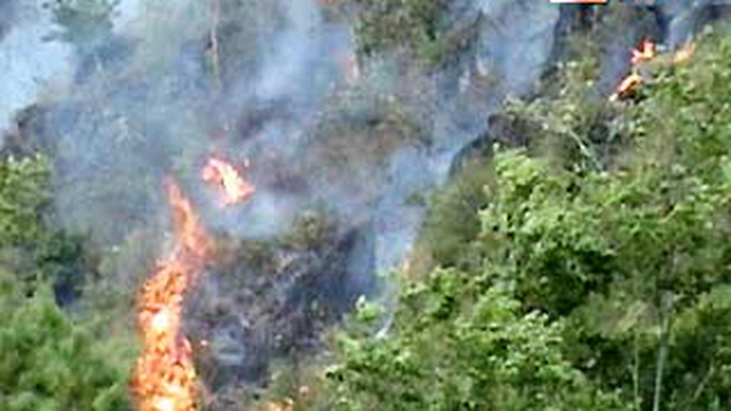 Hutan Lindung Sibaganding Terbakar