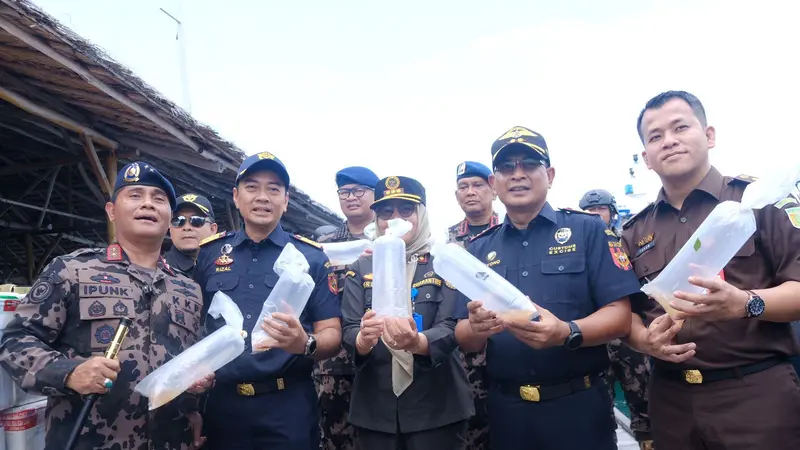 Bea Cukai Batam menggagalkan upaya penyelundupan 795.500 ekor benih lobster di Perairan Pulau Panjang, Kepulauan Riau.