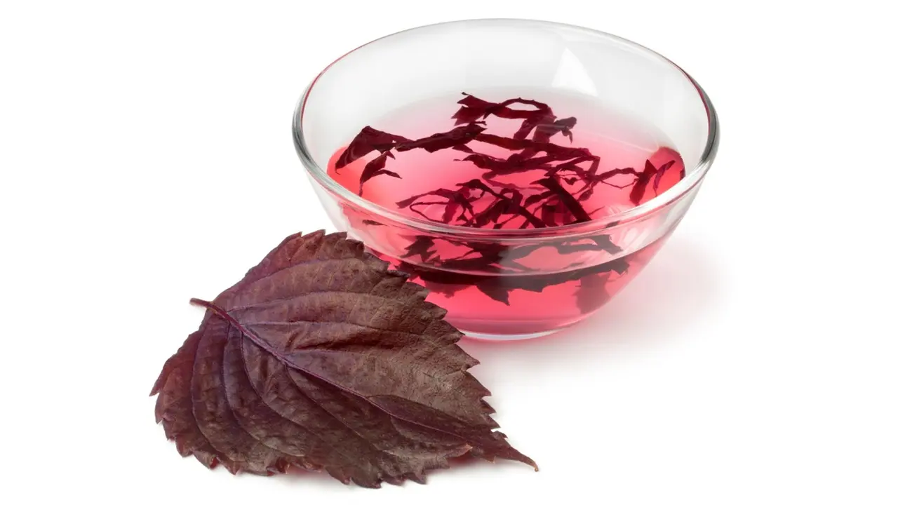 Populer di Jepang, Daun Shiso Merah Ternyata Cocok Buat Kuliner hingga Pengobatan Lho