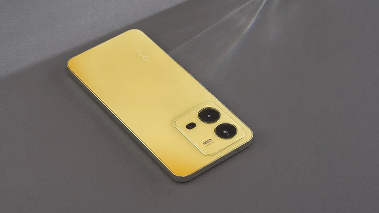 Vivo V25e