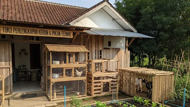 Ide Usaha Pakan Ternak dan Perlengkapan Kebun di Depan Rumah