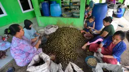 Buah atap yang dimanfaatkan warga untuk diolah menjadi kolang-kaling diambil langsung dari hutan. (merdeka.com/Arie Basuki)