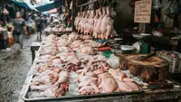 Tanda Ayam Mentah Sudah Tidak Layak Dikonsumsi yang Perlu Dikenali, Jangan Terkecoh Tampilan Segar