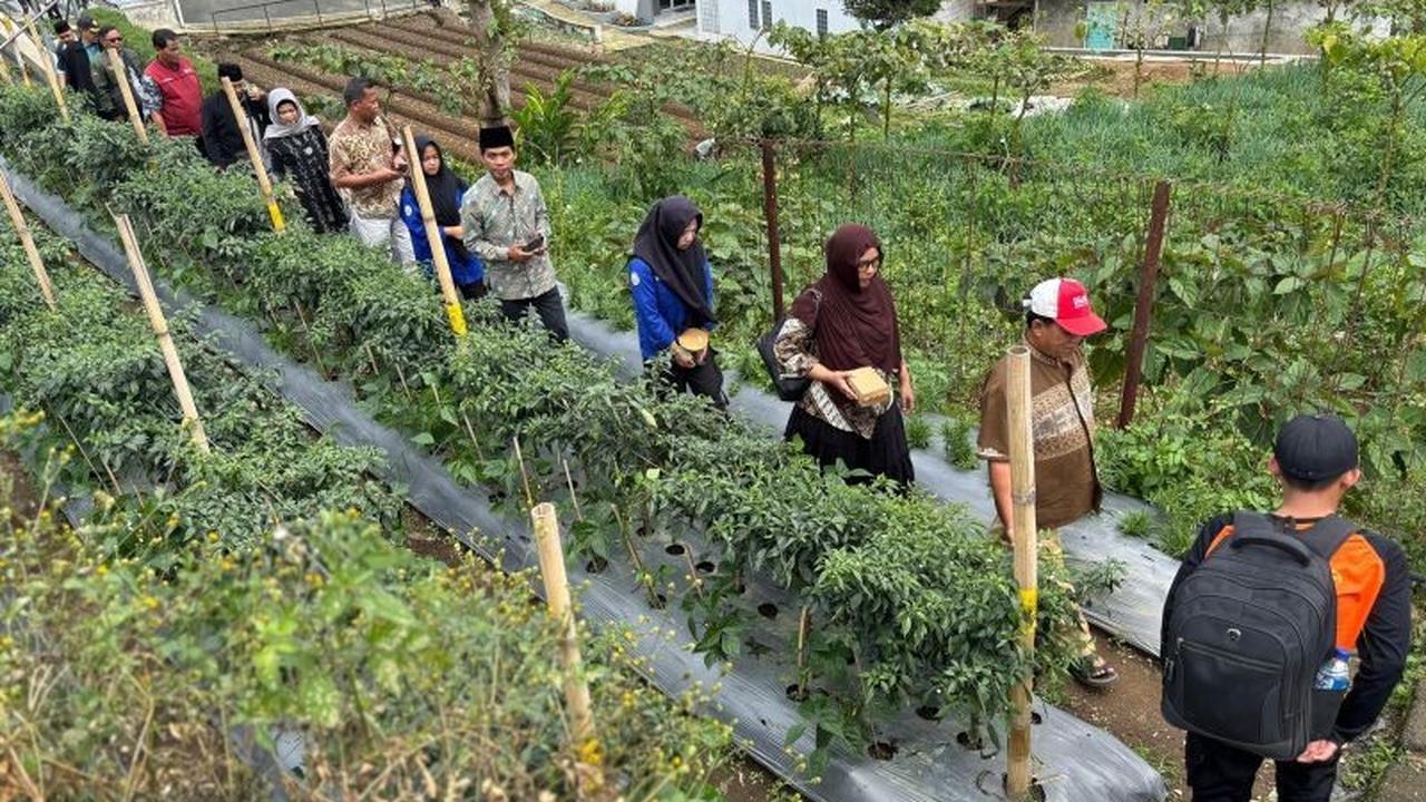Fakta Unik: 160 Petani Jabar Ikuti Pelatihan, Kemenko PM Dorong Petani Go Digital Perkuat Rantai Pasok
