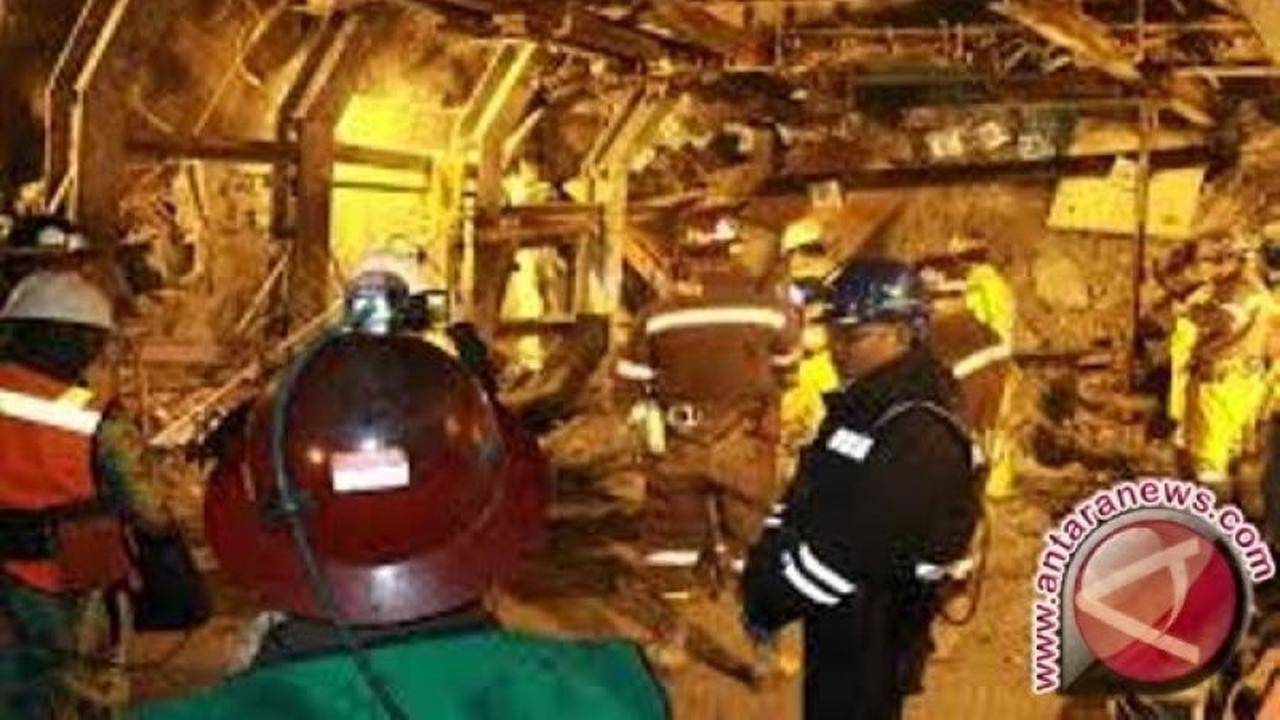 Freeport Ajukan Perpanjangan Izin Tambang, Pemerintah Bidik Peningkatan Saham Indonesia