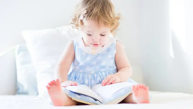 Foto: copyright Shutterstock